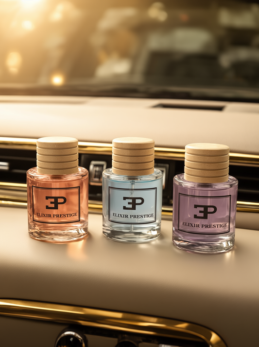 Pack découverte : 4 diffuseurs voiture